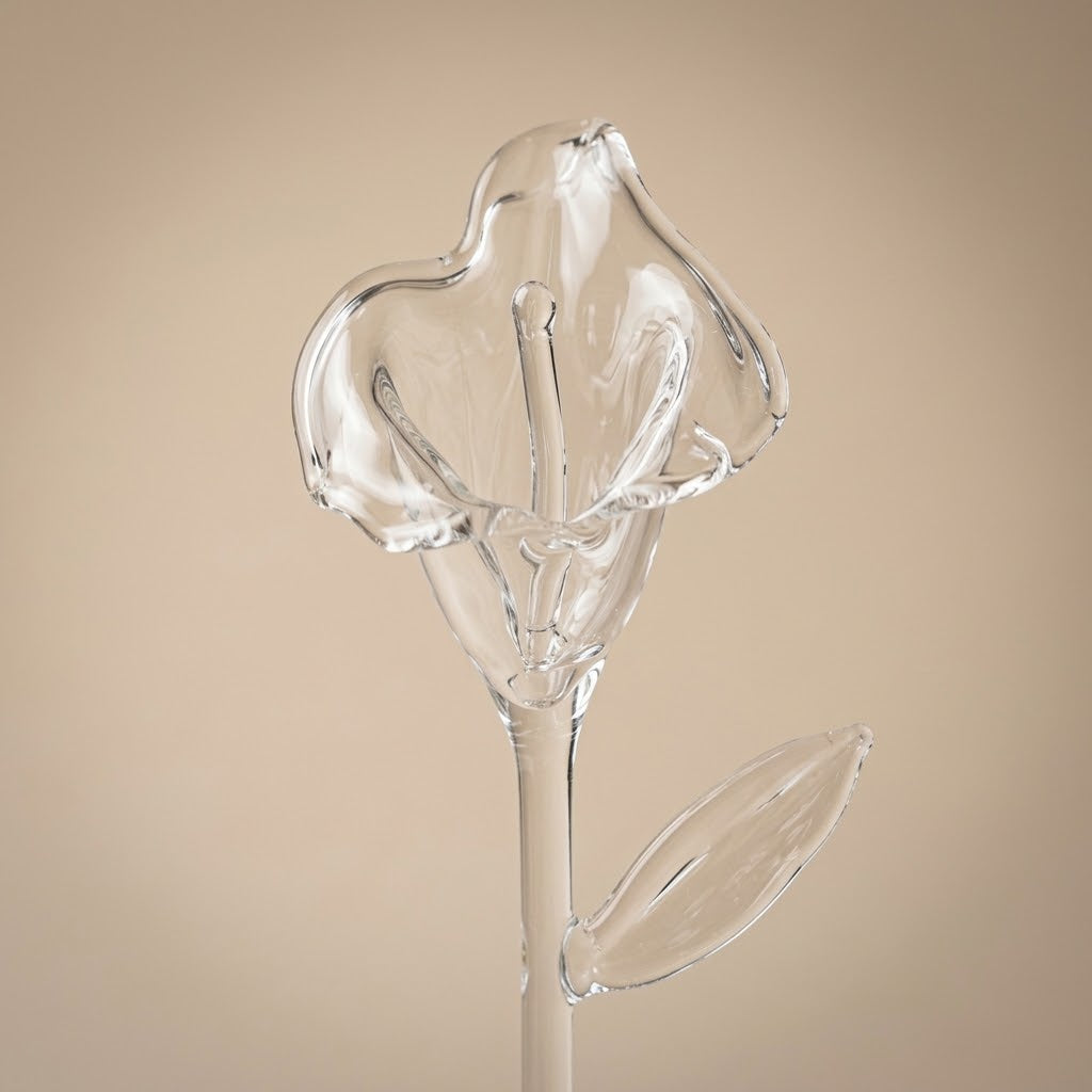 Close-up of the glass calla lily flower with spadix and leaf