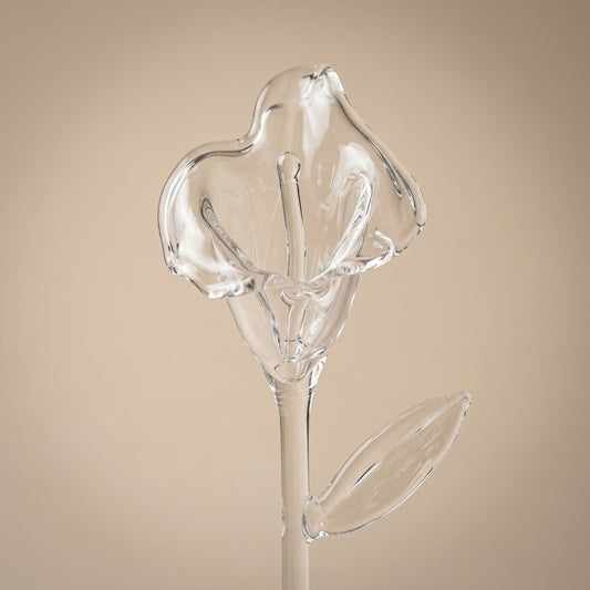 Close-up of the glass calla lily flower with spadix and leaf