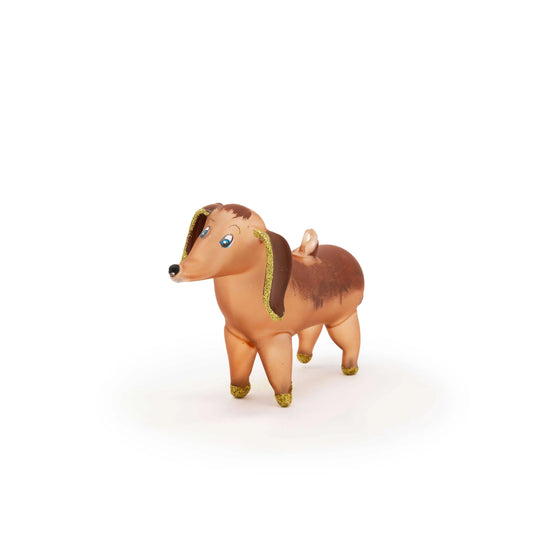 Dachshund